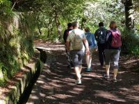 1.Levada-Wanderung in Ribeiro Frio (8).jpg