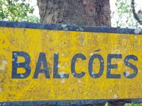 1.Levada-Wanderung in Ribeiro Frio (19).jpg