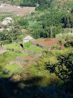 1.Wanderung Levada  do Norte (1).jpg