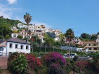 4.Camara do Lobos (1).jpg