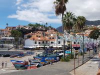 4.Camara do Lobos (2).jpg