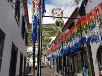 4.Camara do Lobos (10).jpg