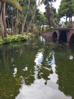 Funchal-Tropischer Garten (12).jpg