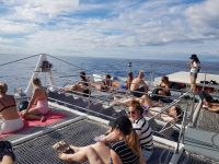 Ausflug mit dem Katamaran (5).jpg