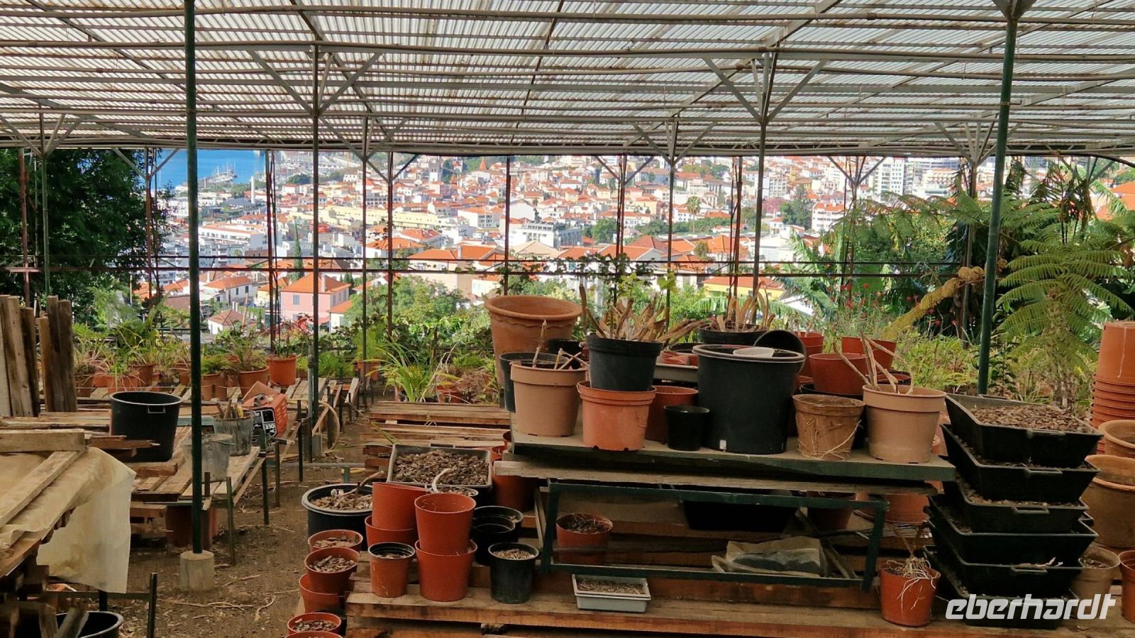 8-7_Orchideengarten Quinta da Boa Vista.jpg