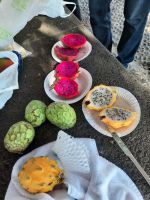 7-35_Picknick am Pico los Barcelos.jpg