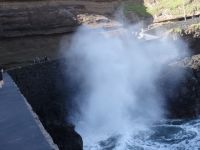 Spaziergang in Puerto da Cruz 