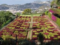 Botanischer Garten von Funchal