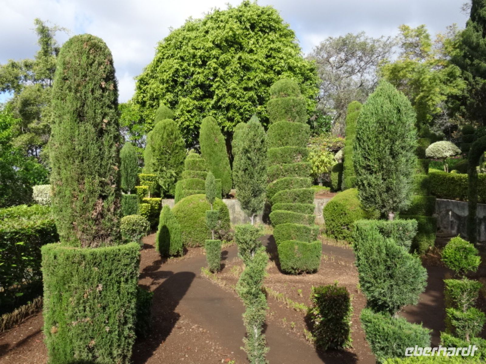 im Botanischen Garten von Funchal