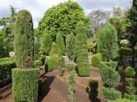 im Botanischen Garten von Funchal