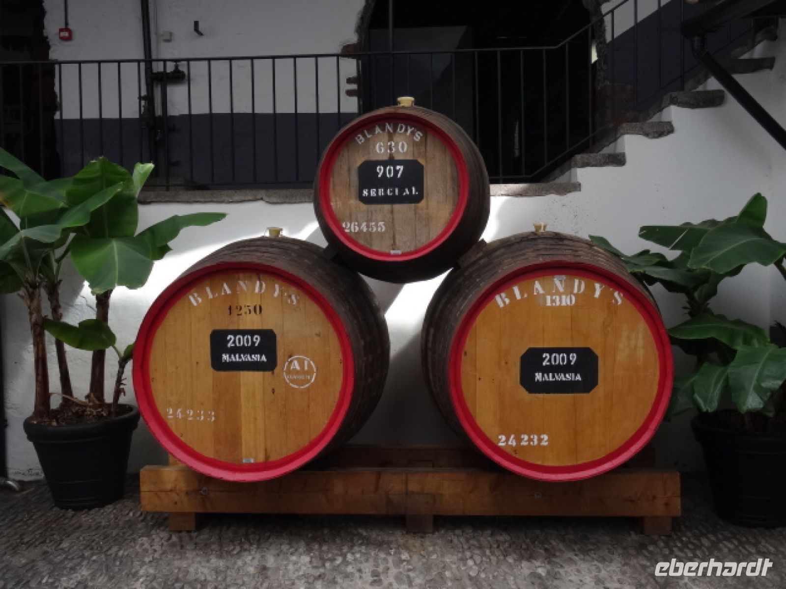 Funchal - Weinkeller von Blandy´s