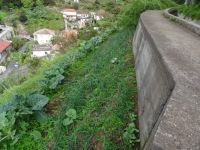 kleine Gemüsefelder entlang der Levada von Marocos