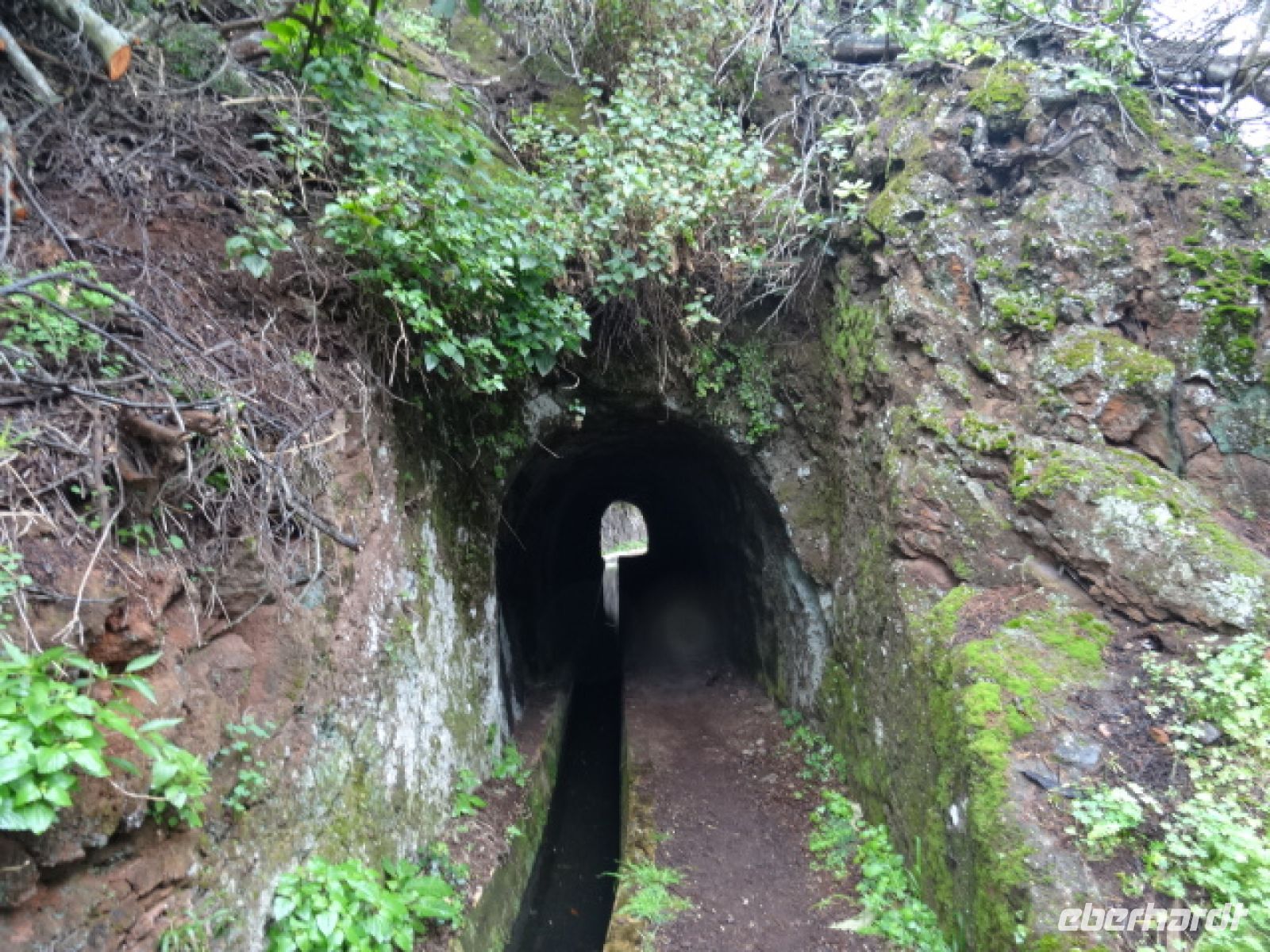 Tunnel auf der Levada von Marocos