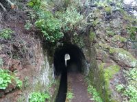 Tunnel auf der Levada von Marocos