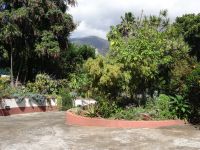 Blick auf den Kräutergarten von Esmeralda