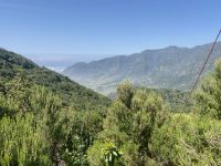 Blick zur Nordküste 