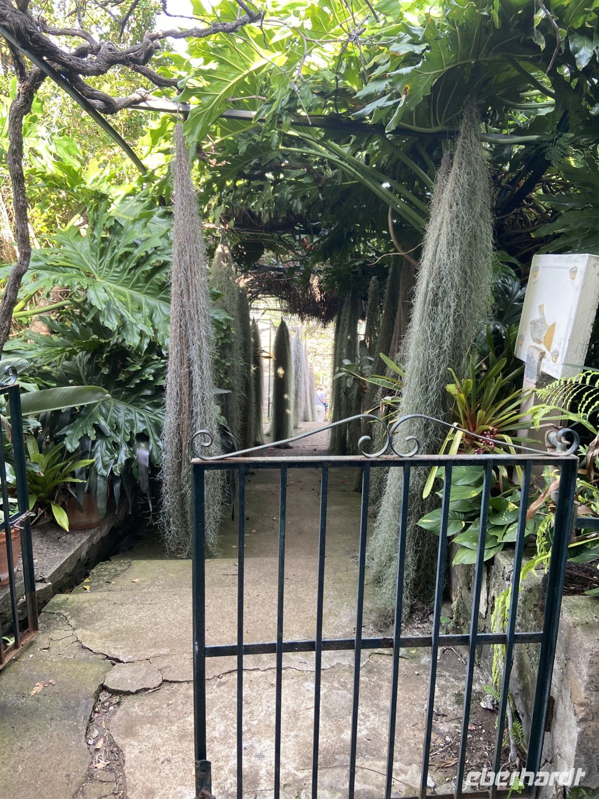 Eingangstor zum Orchideen-Paradies