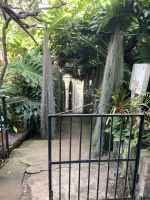 Eingangstor zum Orchideen-Paradies