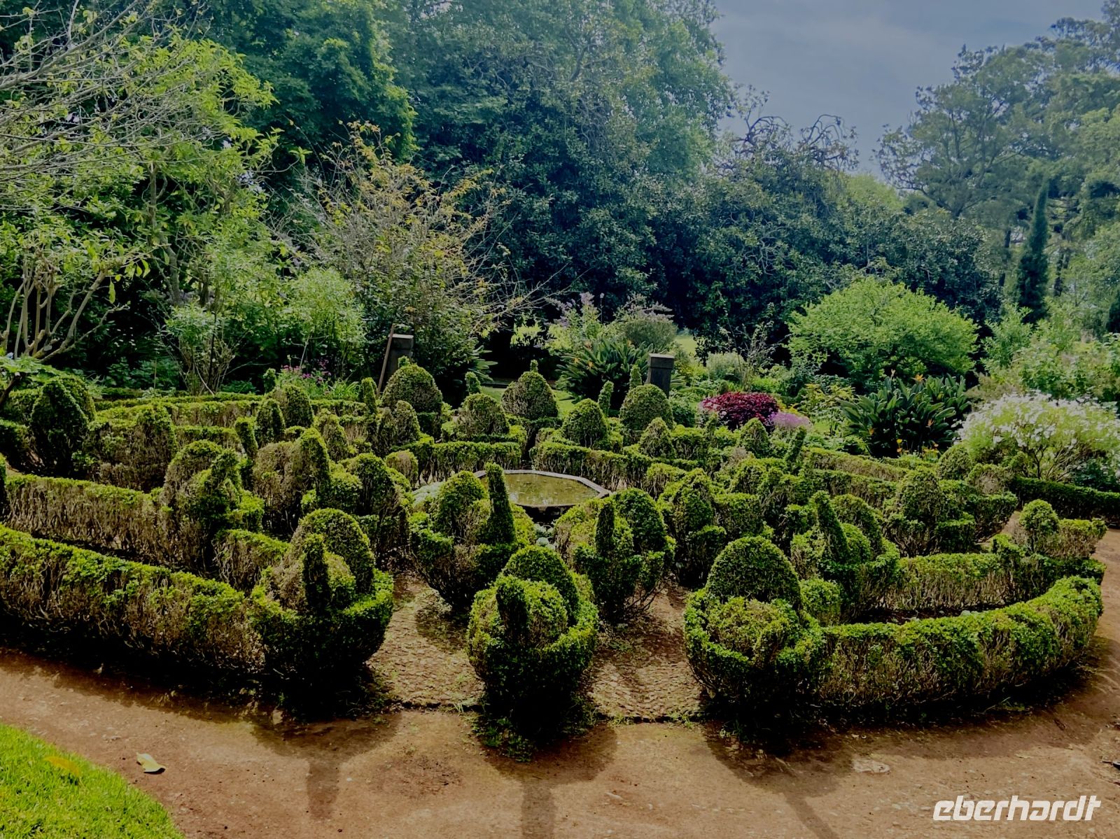 Buchsbaum-Schnittkunst