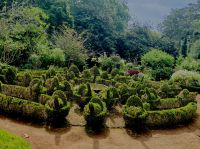 Buchsbaum-Schnittkunst