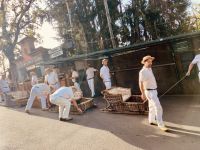 Die Korbschlittenfahrer