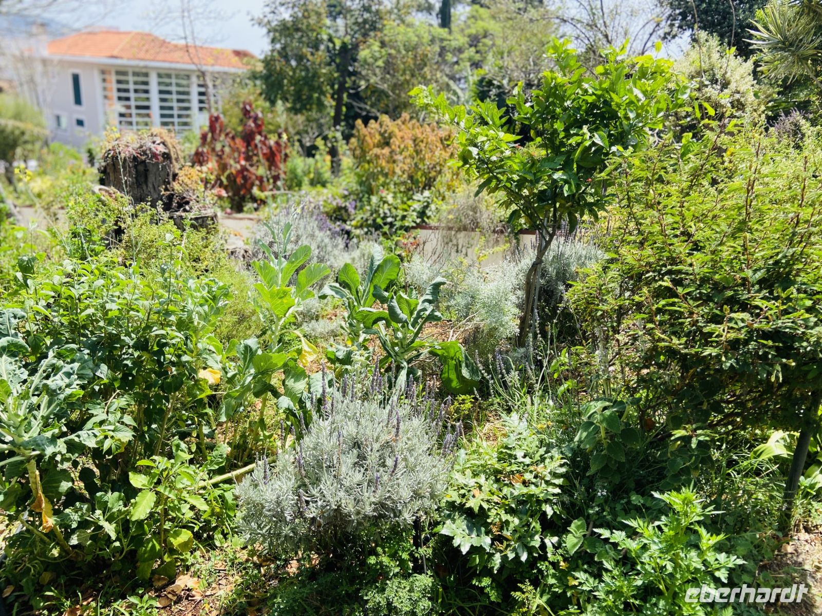 Esmeraldas prächtiger Garten 