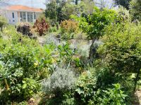 Esmeraldas prächtiger Garten 