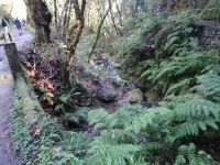 Levada zum Aussichtspunkt Balcoes