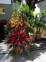 Funchal - Promenade mit Blumenschmuck