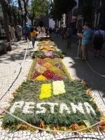 Funchal - Blumenteppich