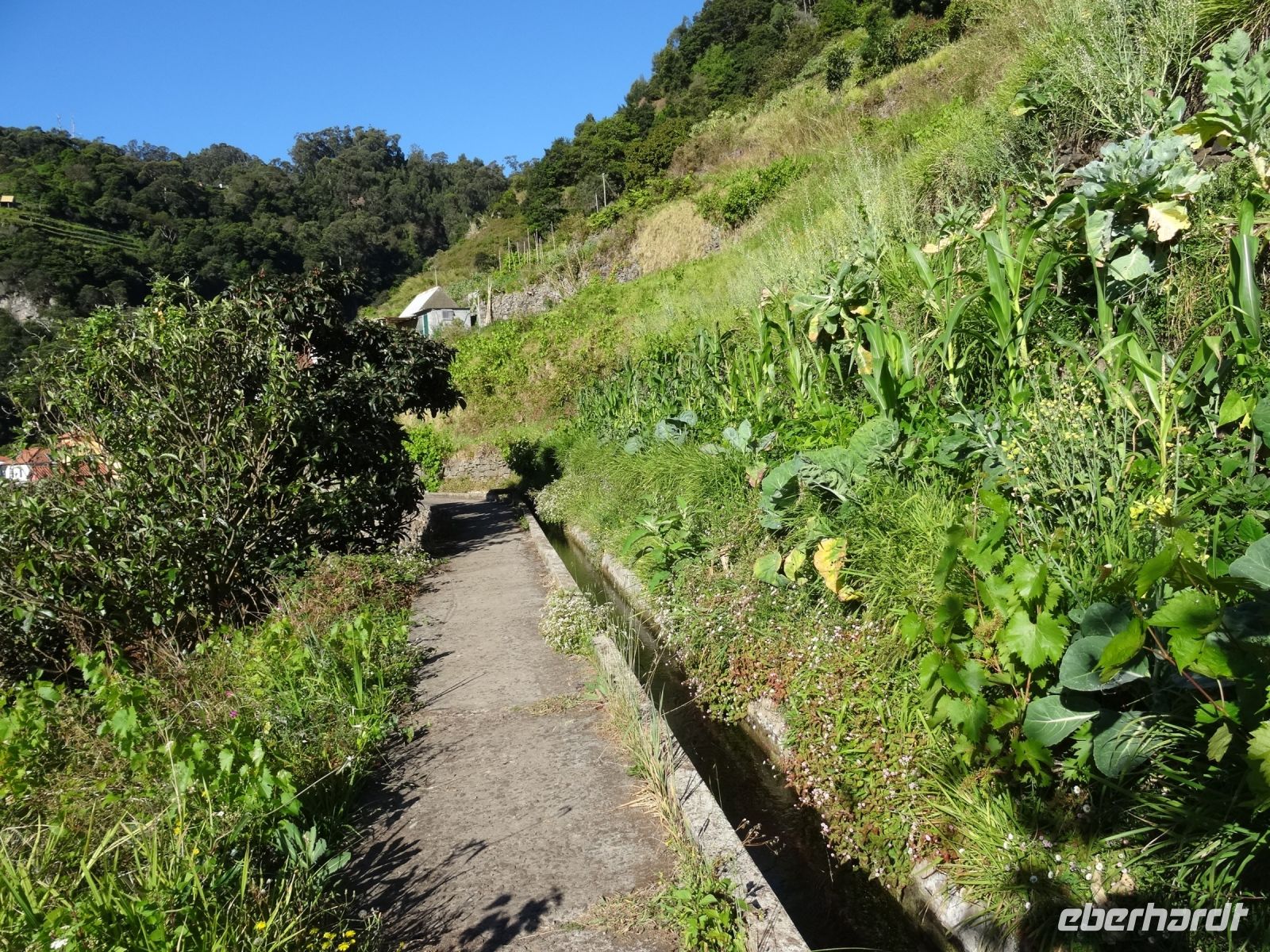entlang der Levada von Marocos