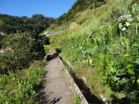 entlang der Levada von Marocos