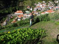 Levada Wanderung . Bauer bei der Arbeit