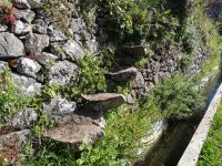 Levada Wanderung - alte Treppe