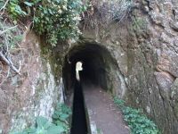 auf der Levada Wanderung