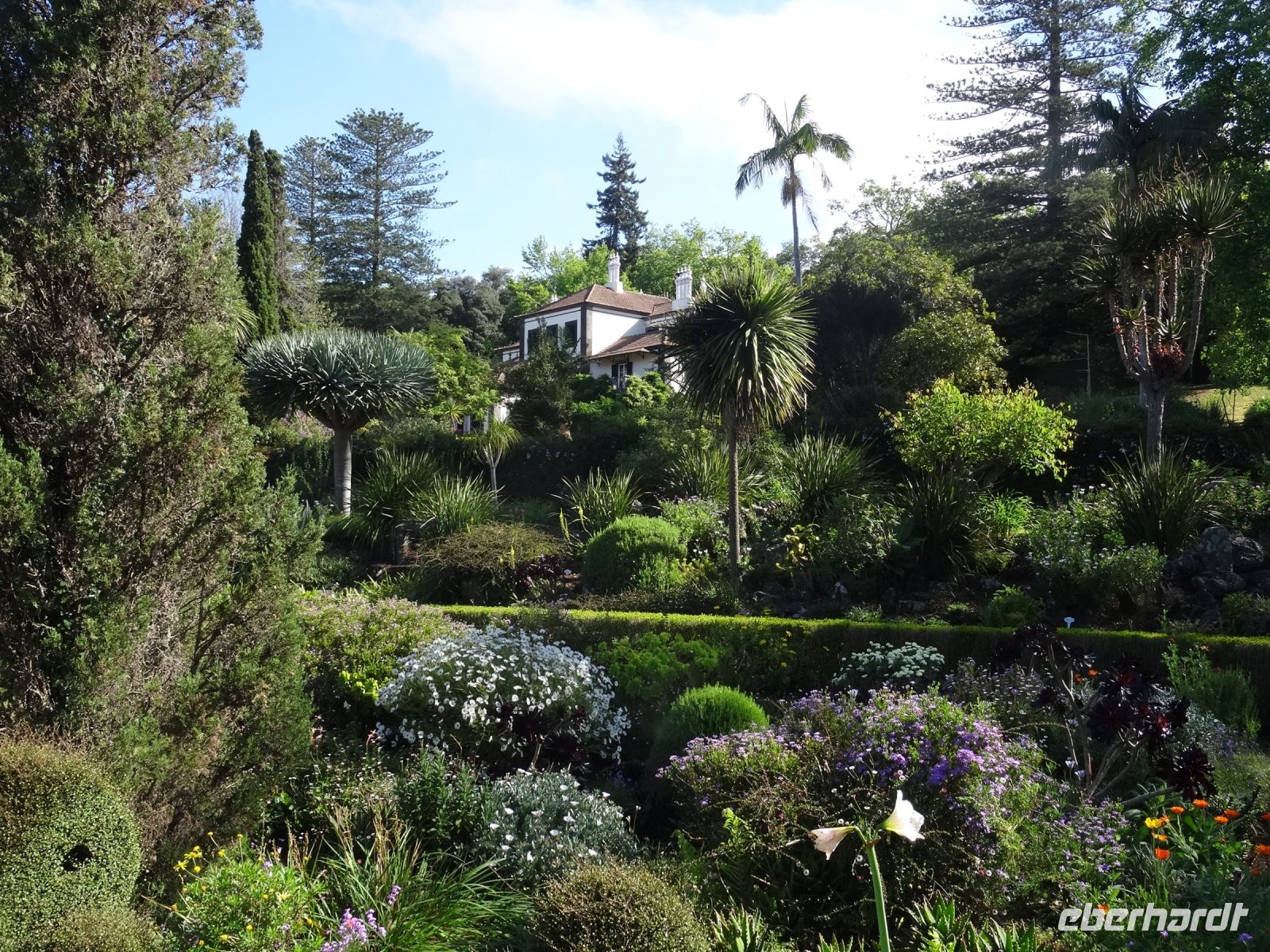 Blick auf das Herrenhaus in Blandy's Garten