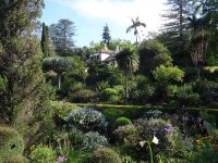 Blick auf das Herrenhaus in Blandy's Garten