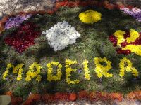 Funchal - Überbleibsel vom Blumenfest