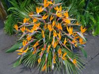 Funchal - Blumengesteck