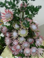 Funchal - Blumengesteck