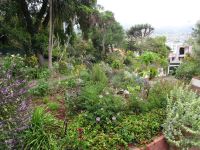 der Kräutergarten von Esmeralda