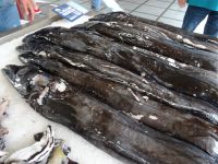 Funchal, Markthalle - der schwarze Degenfisch (Espada)