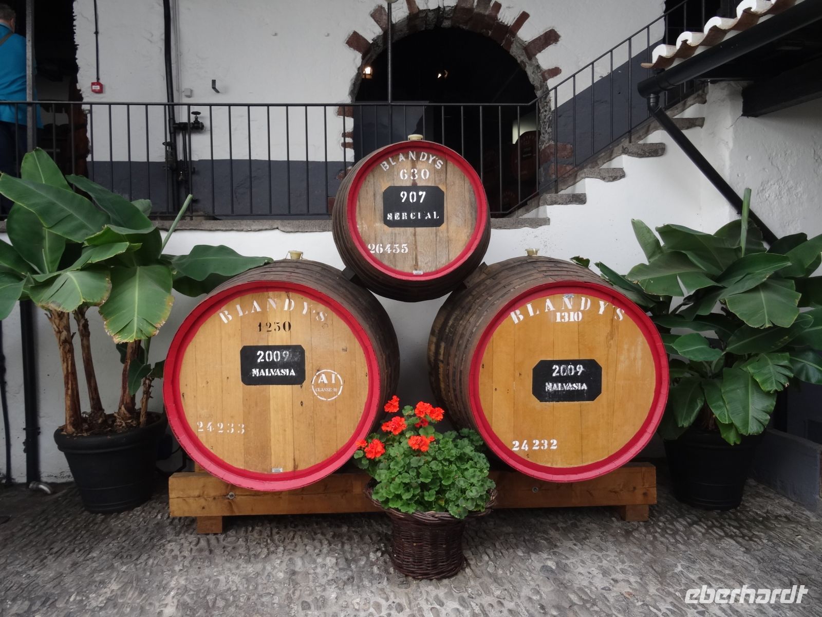 Funchal - Blandy's Weinkeller