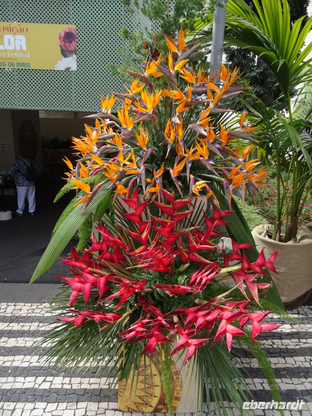 Funchal - Ein Hauch vom Blumenfest