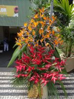 Funchal - Ein Hauch vom Blumenfest