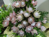 Funchal - Blumengesteck