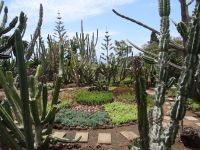 Funchal, Botanischer Garten