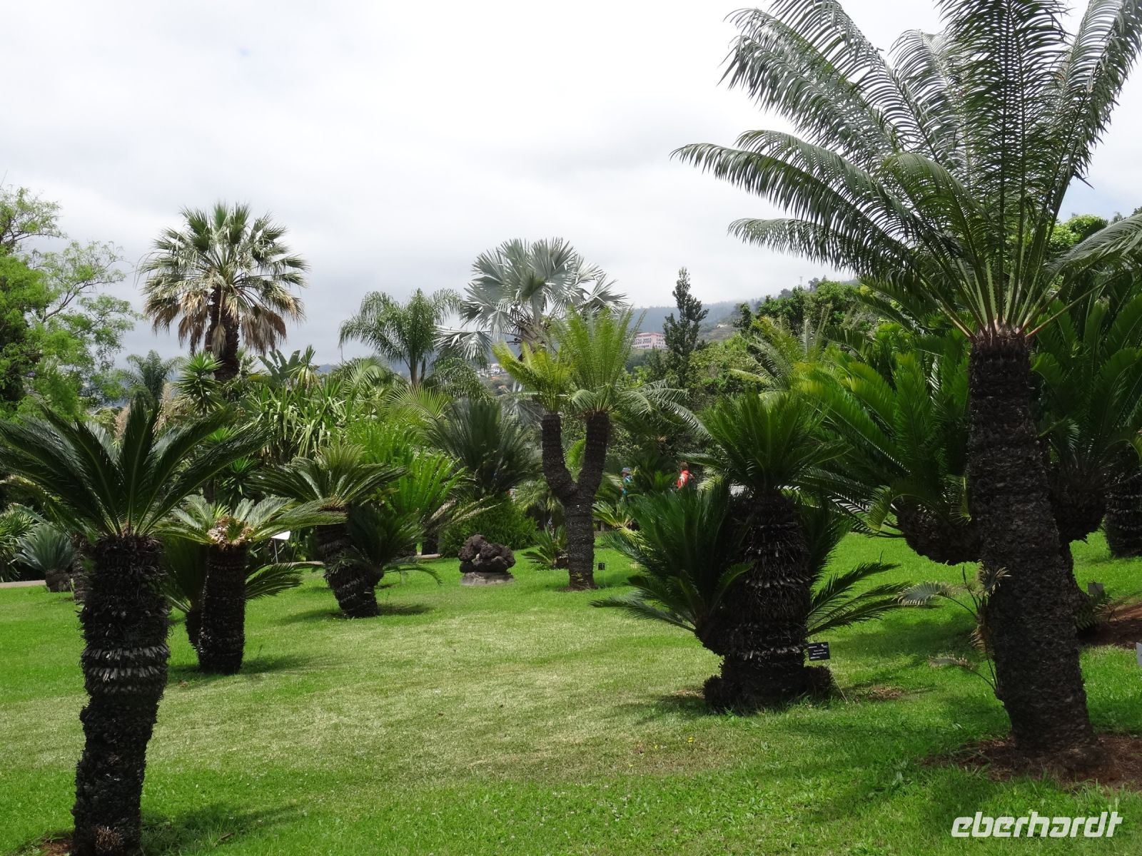 Funchal - Botanischer Garten