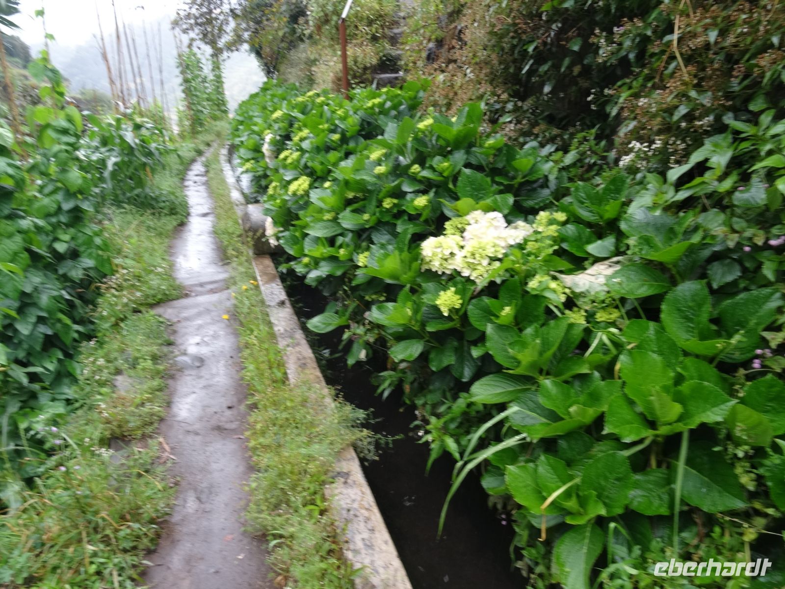 entlang der Levada von Marocos