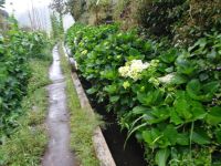 entlang der Levada von Marocos